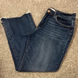 Flying Monkey Dark Wide Leg Cropped Jeans